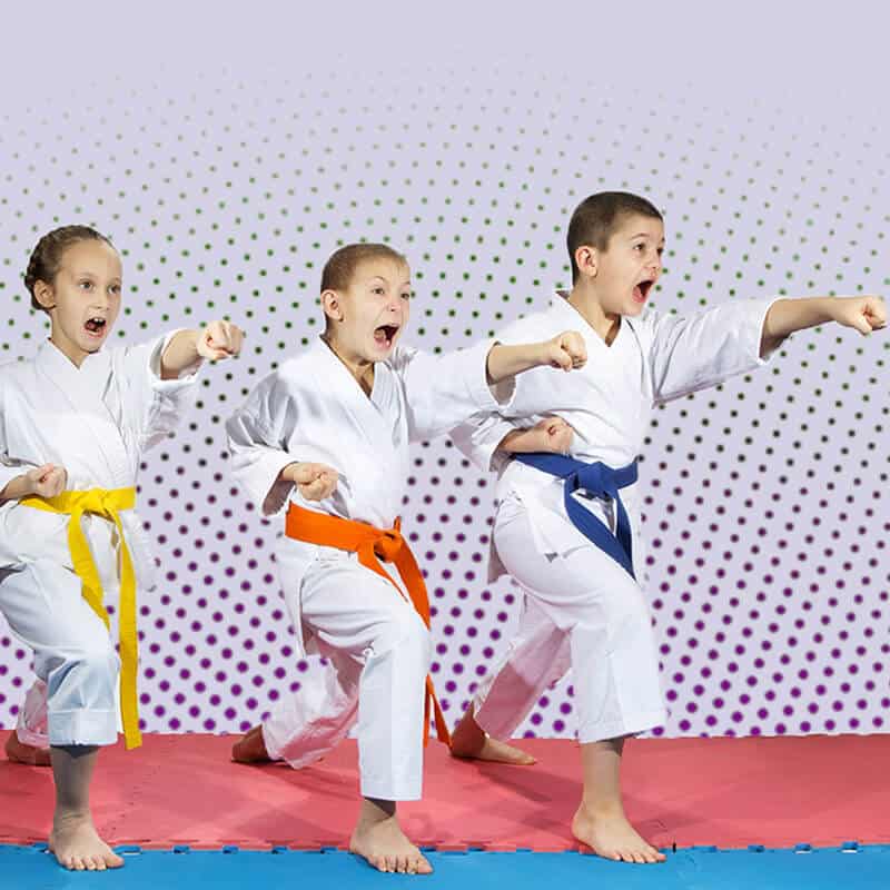 Martial Arts Lessons for Kids in Hillsborough NJ - Punching Focus Kids Sync